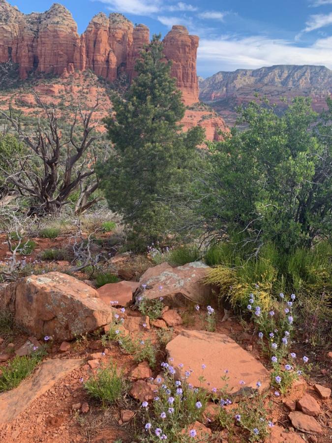 Sedona Room Homestay - Thunder Mountain Exterior foto